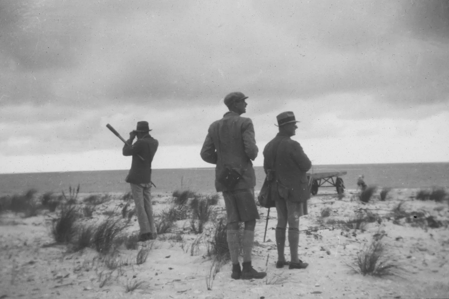 Ornithological trip to Helgoland / Bernard Tucker Archive – BTO
