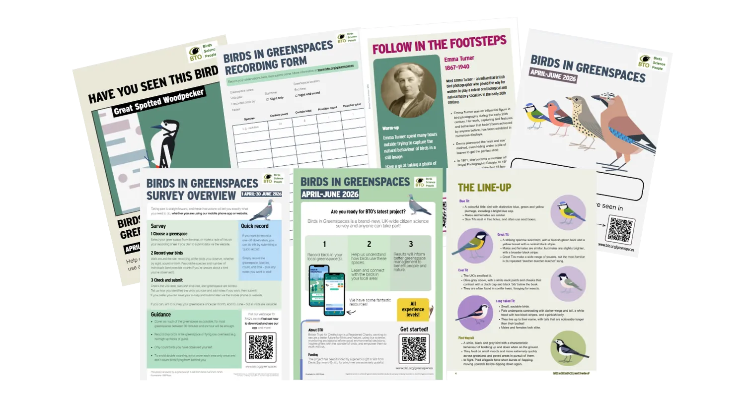 Check out our resources!