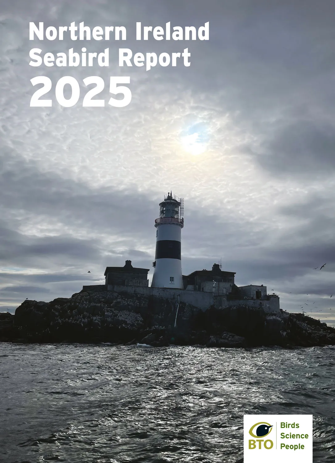 Northern Ireland Seabird Report 2025