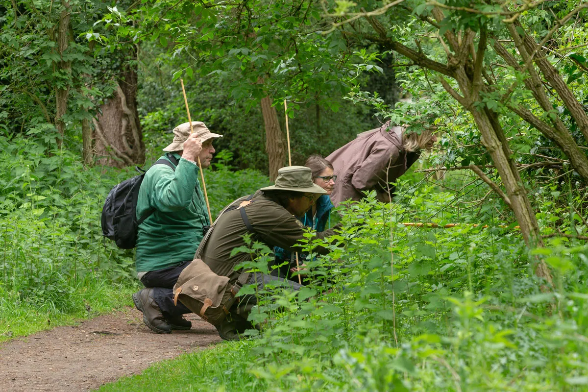 Training, guides and events