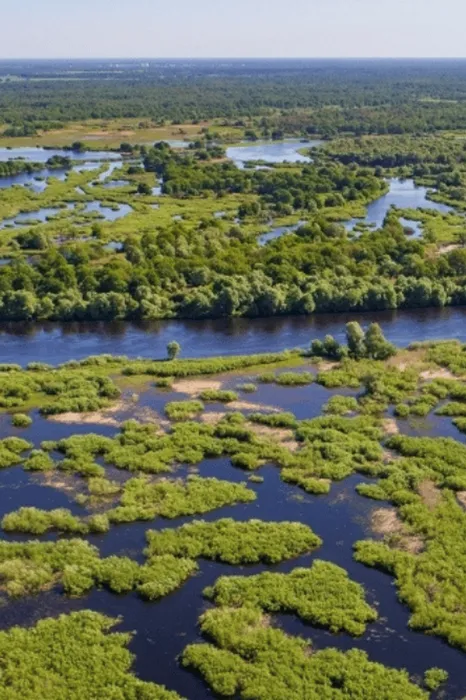 Acoustic Pipeline Case Study