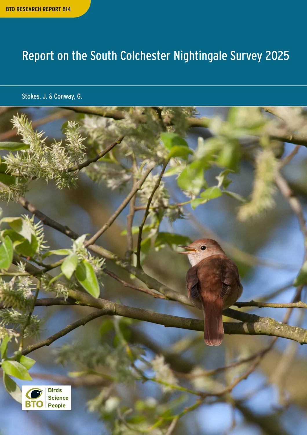 BTO Research Report 814 cover