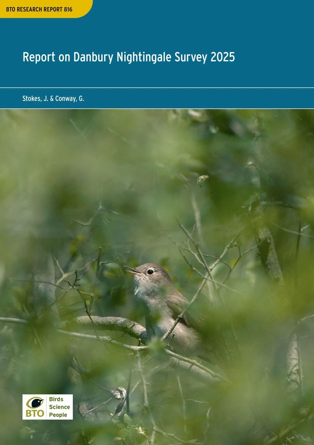 BTO Research Report 816 cover