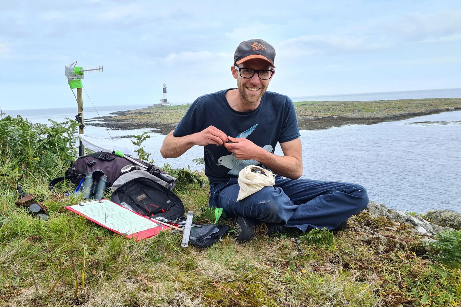 Seabird ringing, by Katherine Booth Jones / BTO