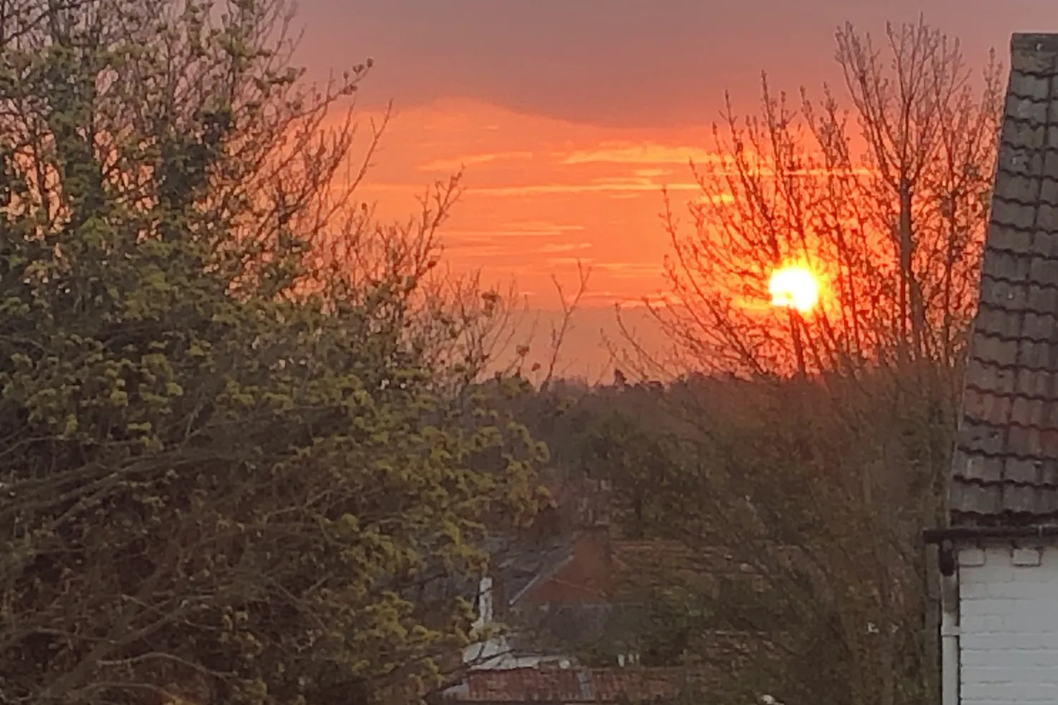 Sunrise, by Mike Toms / BTO