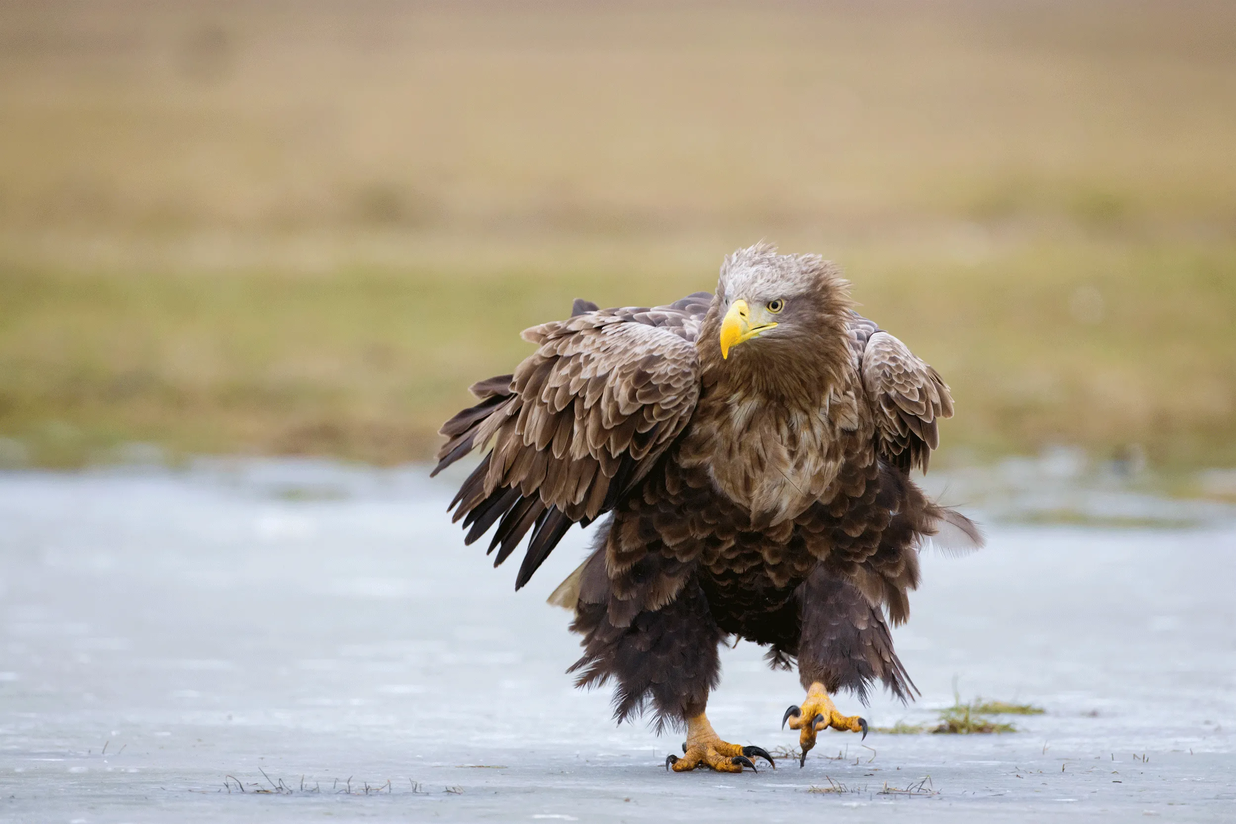 We’d love to hear from you