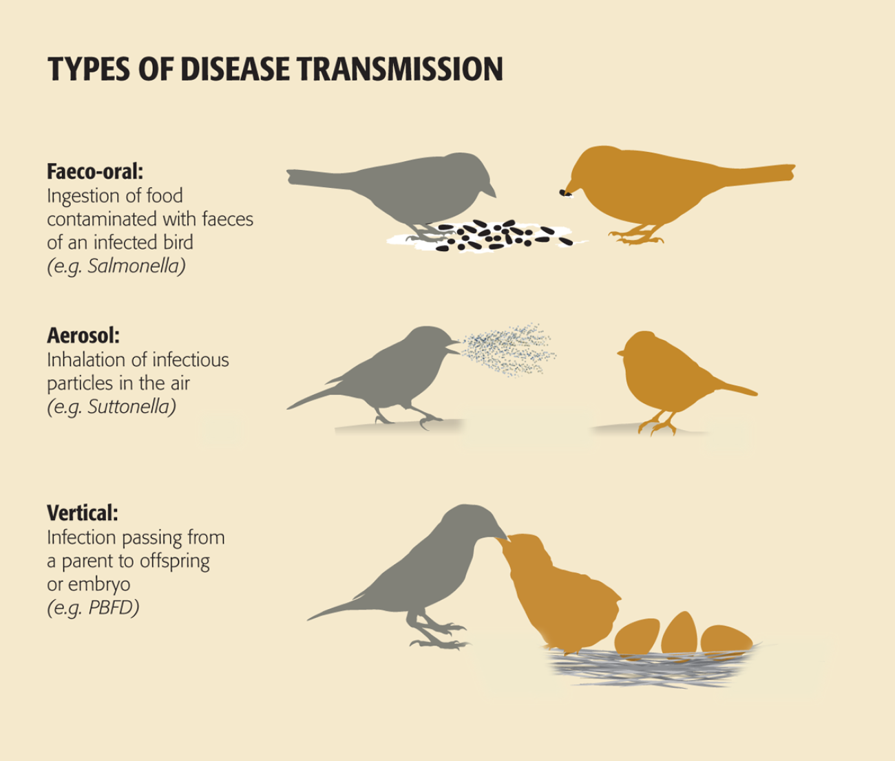 Types of disease transmission. Nigel Hawtin /  nigelhawtin.com