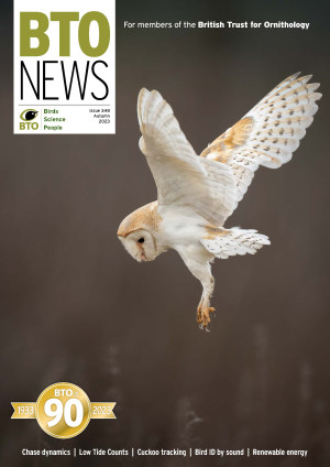BTO News front cover, with the winning photo of the 'A Star is Born' category, a Barn Owl by Conrad Dickinson.