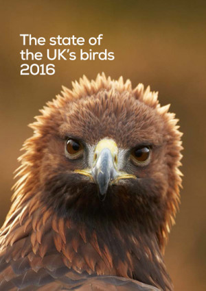 State of UK birds 2016 cover