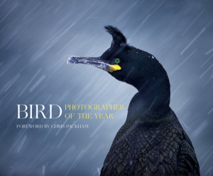 Bird Photographer of the Year 2016 cover