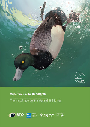 Waterbirds in the UK 2019/20