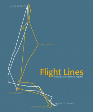 Flight Lines: Tracking the wonders of bird migration