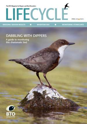 LifeCycle spring 2016 cover