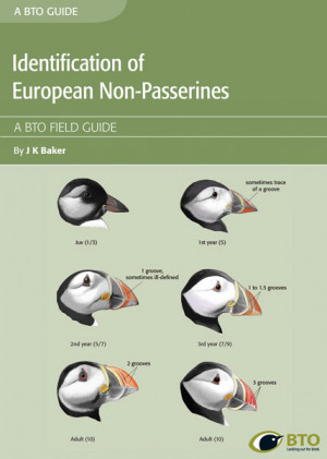 Identification of European Non-Passerines cover