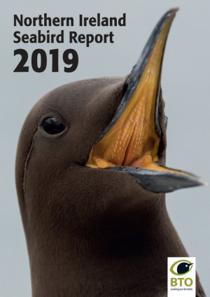 Northern Ireland Seabird Report 2019 cover