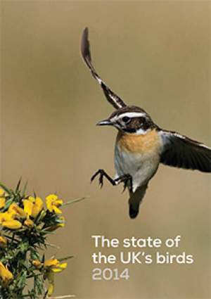State of UK Birds 2014 cover