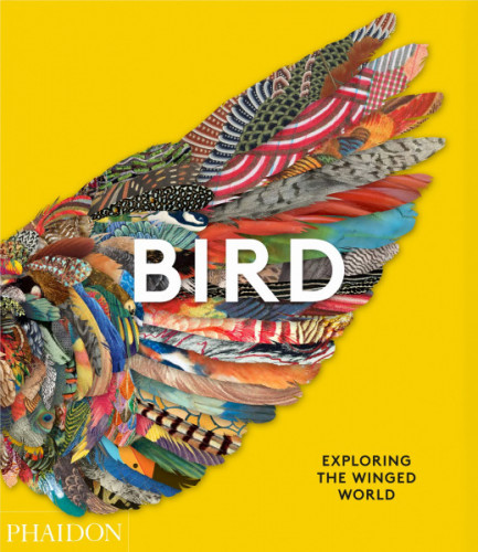 Bird: Exploring the Winged World (cover)