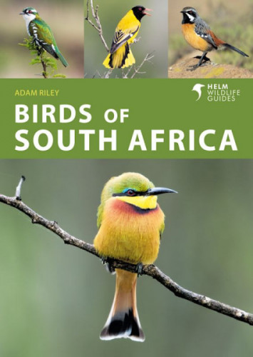 Birds of South Africa (cover)