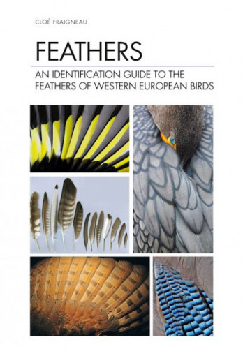 Feathers (cover)