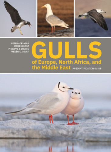 Gulls of Europe, North Africa, and the Middle East: An Identification Guide (cover)