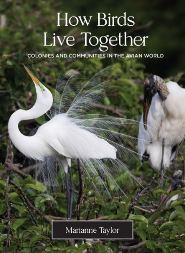 How Birds Live Together (cover)