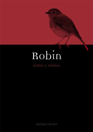 Robin (cover)