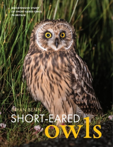 Short-eared Owls (cover)