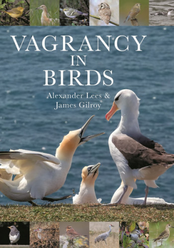 Vagrancy in Birds (cover)