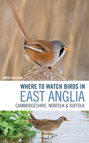 Where to Watch Birds in East Anglia: Cambridgeshire, Norfolk & Suffolk (cover)