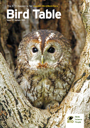 Bird Table current issue cover