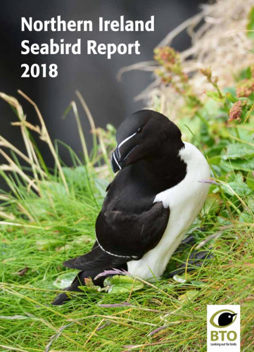 BTO Northern Ireland Seabird Report 2018 cover