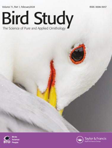 Bird Study cover, Sam Langlois