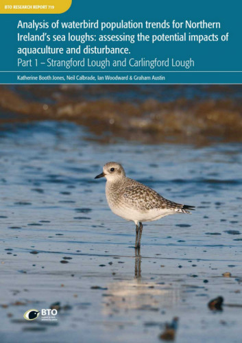 BTO Research Report 719 cover