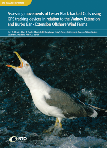 BTO Research Report 738 cover