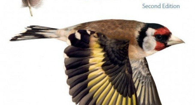 Moult and Ageing of European Passerines 2nd edition (cover)