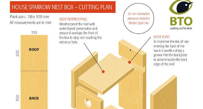 Make A Nest Box Bto British Trust, Free Simple Bird House Plans