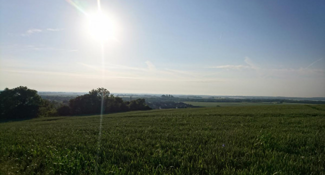 Agricultural land, Cambridgeshire. Ailidh Barnes