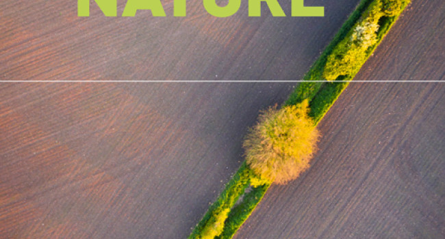 The State of Nature 2023 report cover, showing an aerial view of arable farmland and an isolated hedgerow, by Chris O'Reilly / RSPB