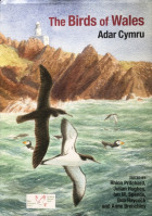The Birds of Wales (cover)