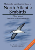 North Atlantic Seabirds Shearwaters cover