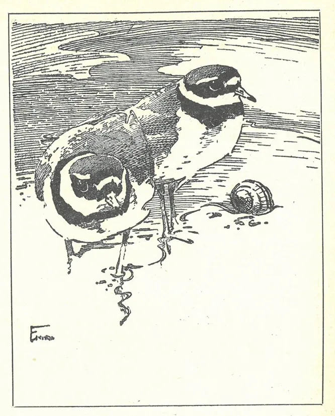 BTO Bulletin 38, September 1950