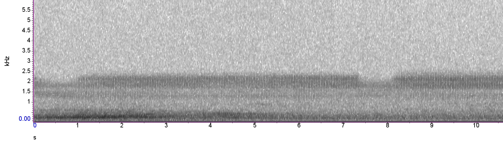 Spectrogram image of Nightjar churring, by by Carlos Abrahams