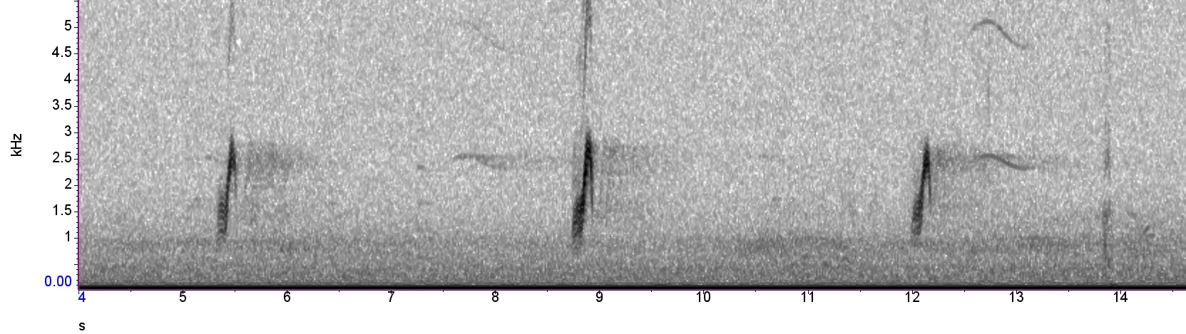 Spectrogram image of Nightjar “groeek” calls, by BTO 