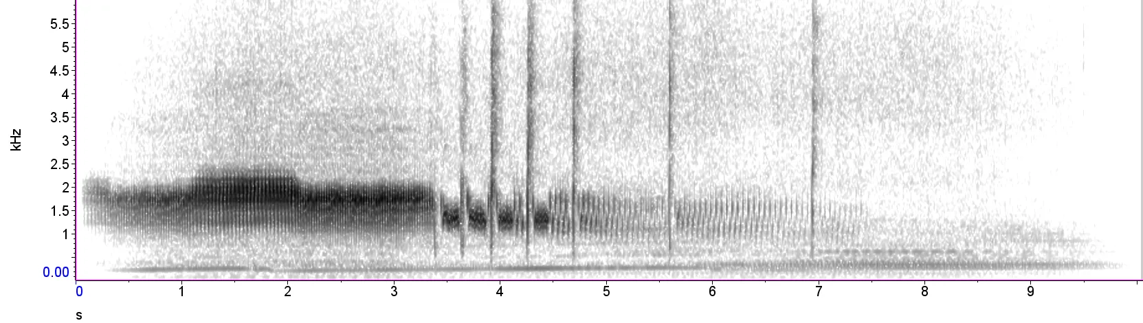 Purr spectrogram, Nightjar, Simon Gillings / BTO