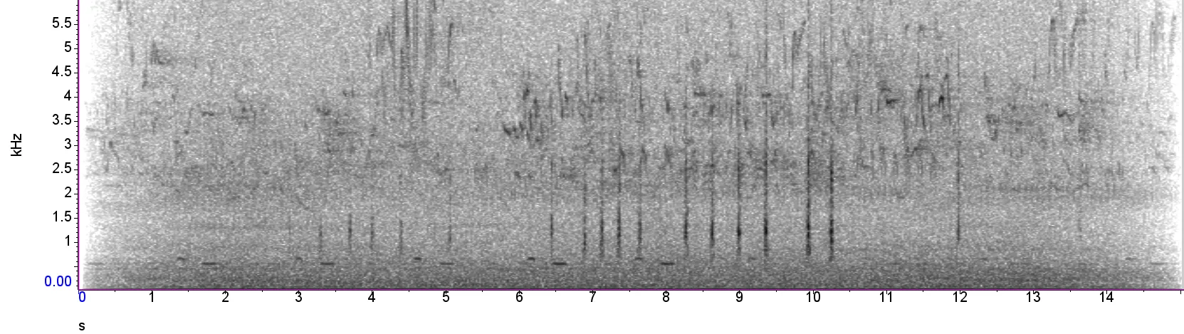Toc toc spectrogram, Nightjar, Simon Gillings / BTO