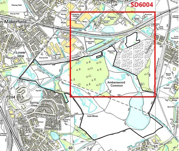 A map of the survey square 