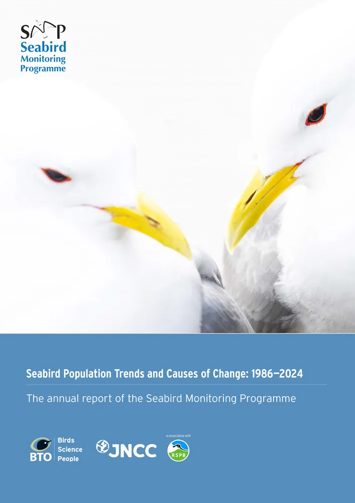 SMP Report | BTO