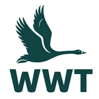             
  WWT
    