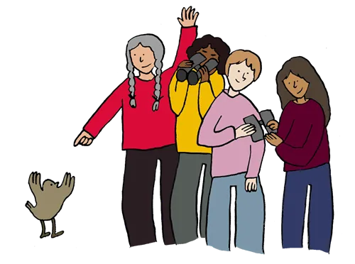 Illustration of four birdwatchers, by Anna Dupont-Crabtree