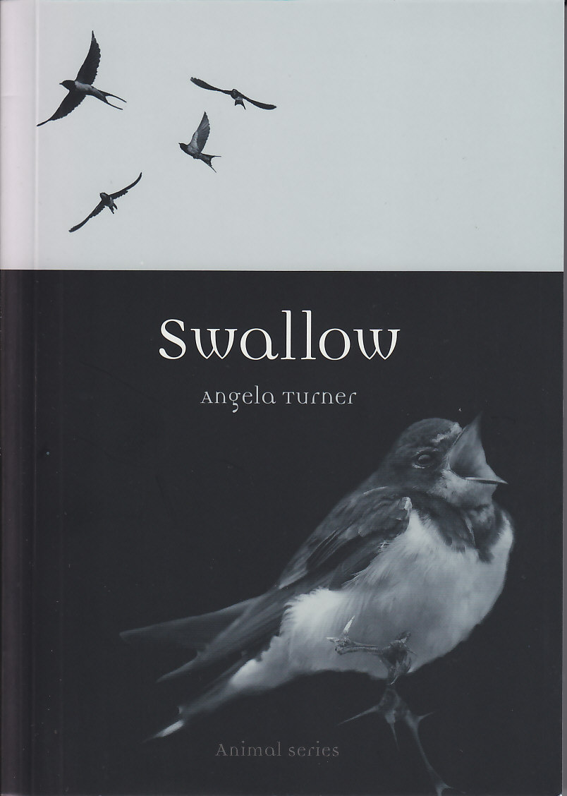 Swallow by Angela Turner (book cover)